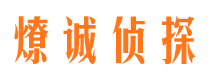 白塔市侦探调查公司